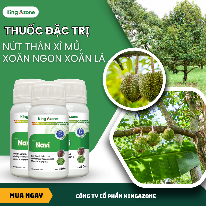 NAVI – Đặc trị nứt thân xì mủ