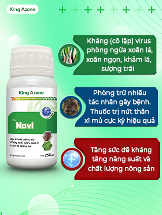 NAVI xử lý nứt thân