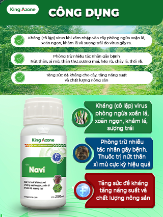 NAVI xử lý vàng lá