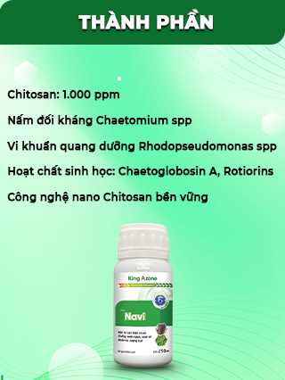 Trước sau khi dùng NAVI