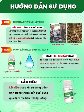 Trước sau khi dùng NAVI